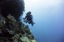 abesamis_underwater.jpg