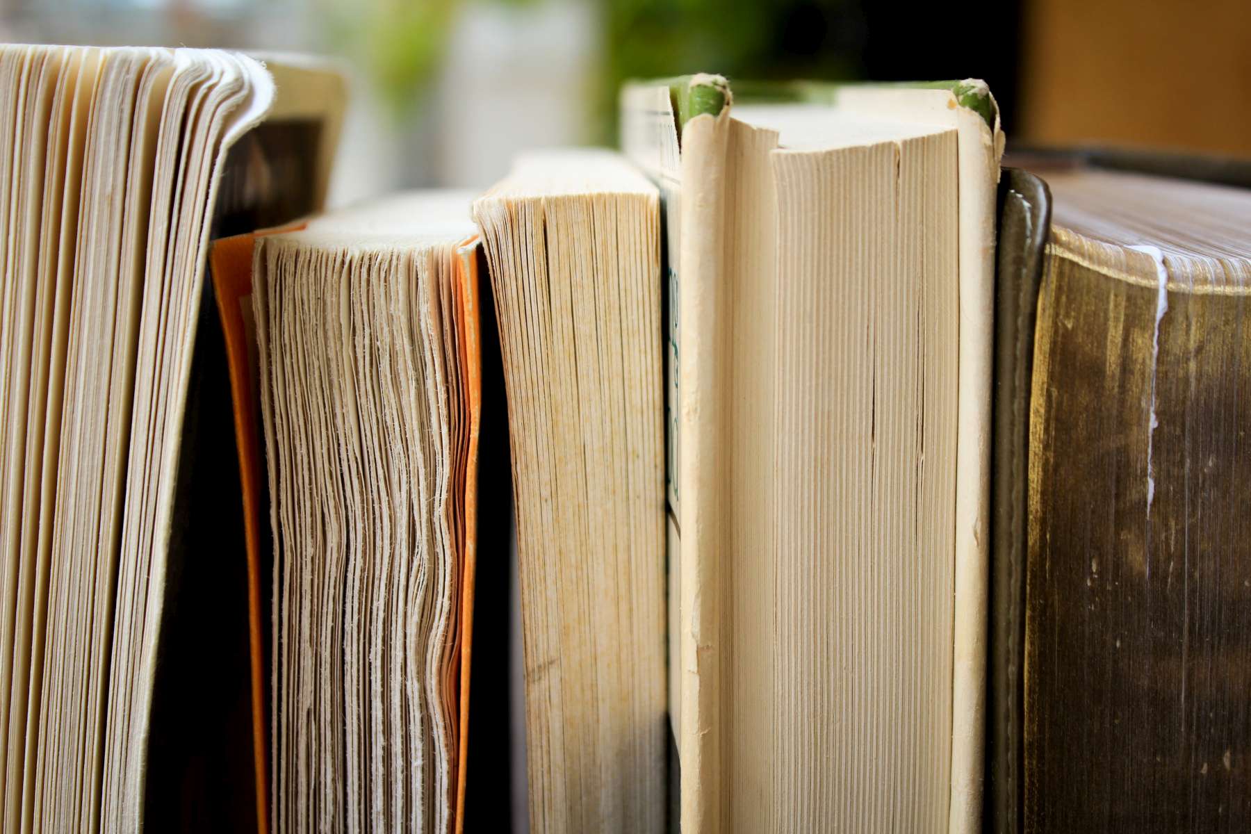Looking for alumni publications? Image Looking for alumni publications? Image